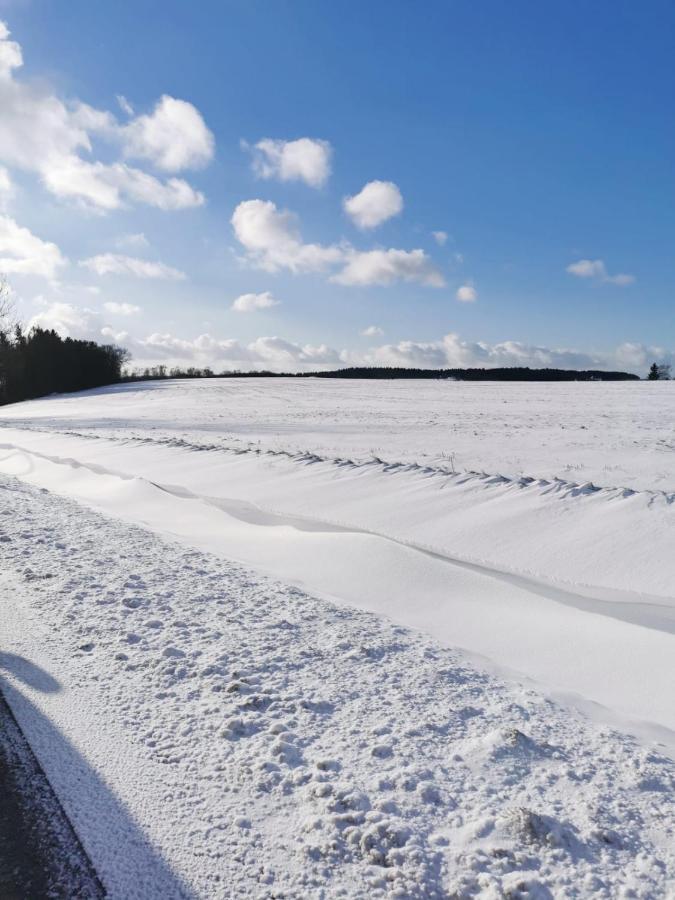 Gasthof Und Pension Hammerschaenke Wildenthal エクステリア 写真