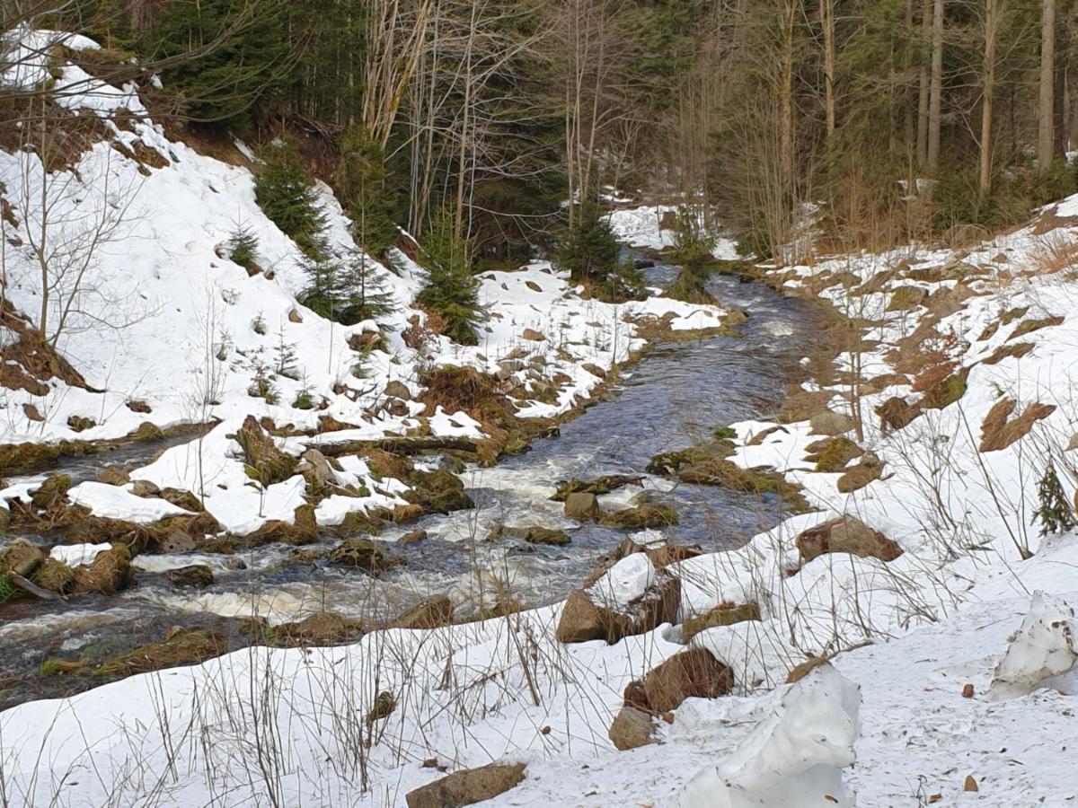 Gasthof Und Pension Hammerschaenke Wildenthal エクステリア 写真