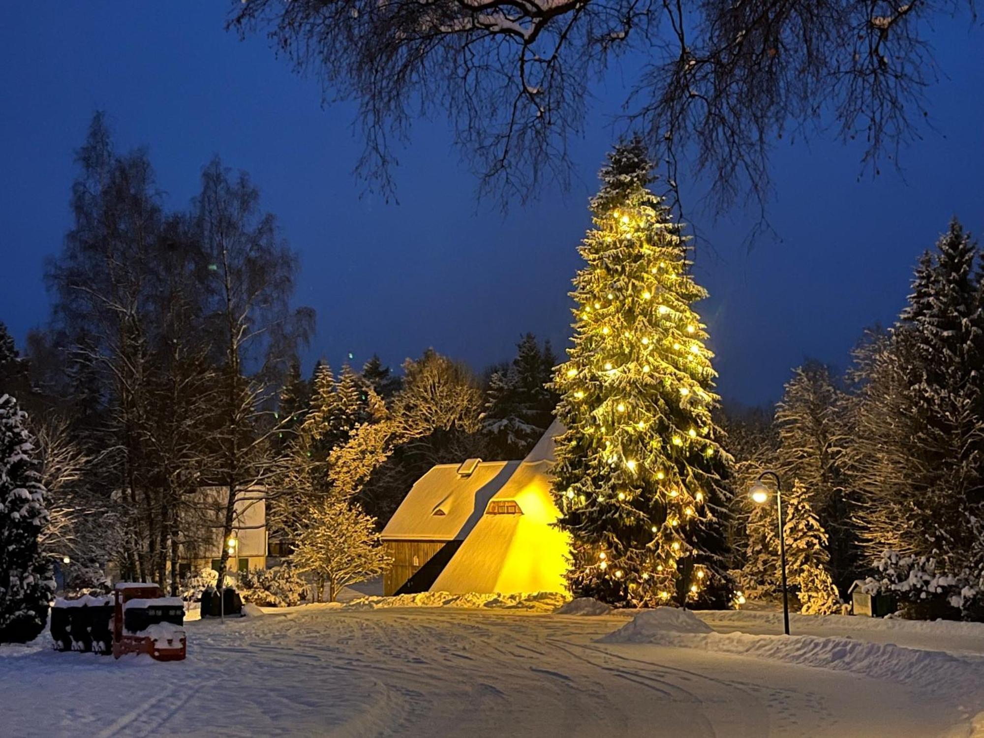 Gasthof Und Pension Hammerschaenke Wildenthal エクステリア 写真
