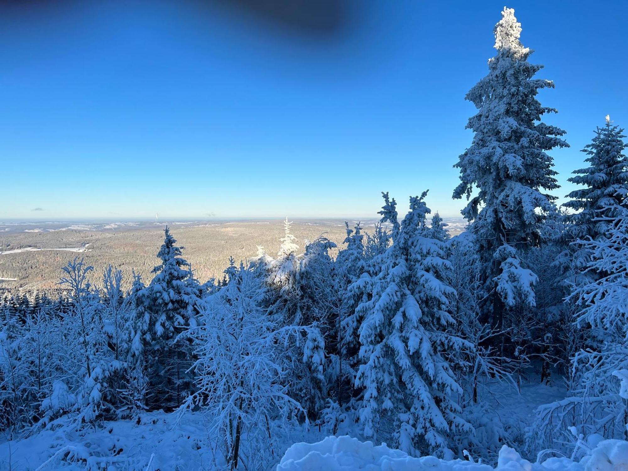 Gasthof Und Pension Hammerschaenke Wildenthal エクステリア 写真