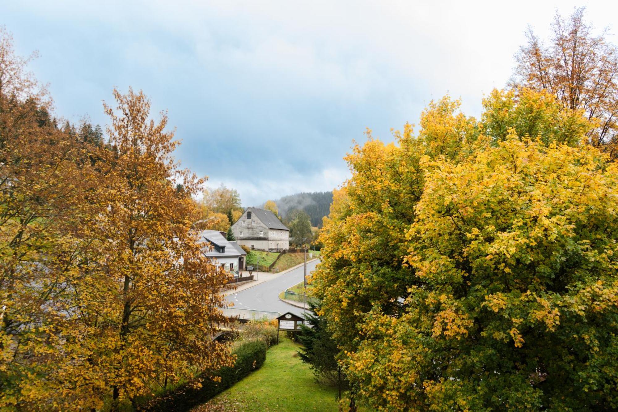 Gasthof Und Pension Hammerschaenke Wildenthal エクステリア 写真