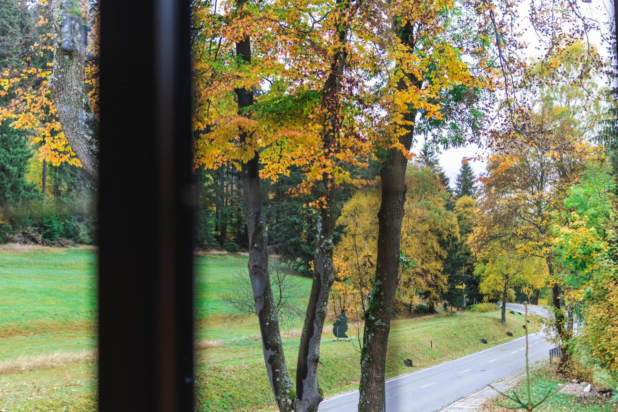 Gasthof Und Pension Hammerschaenke Wildenthal エクステリア 写真