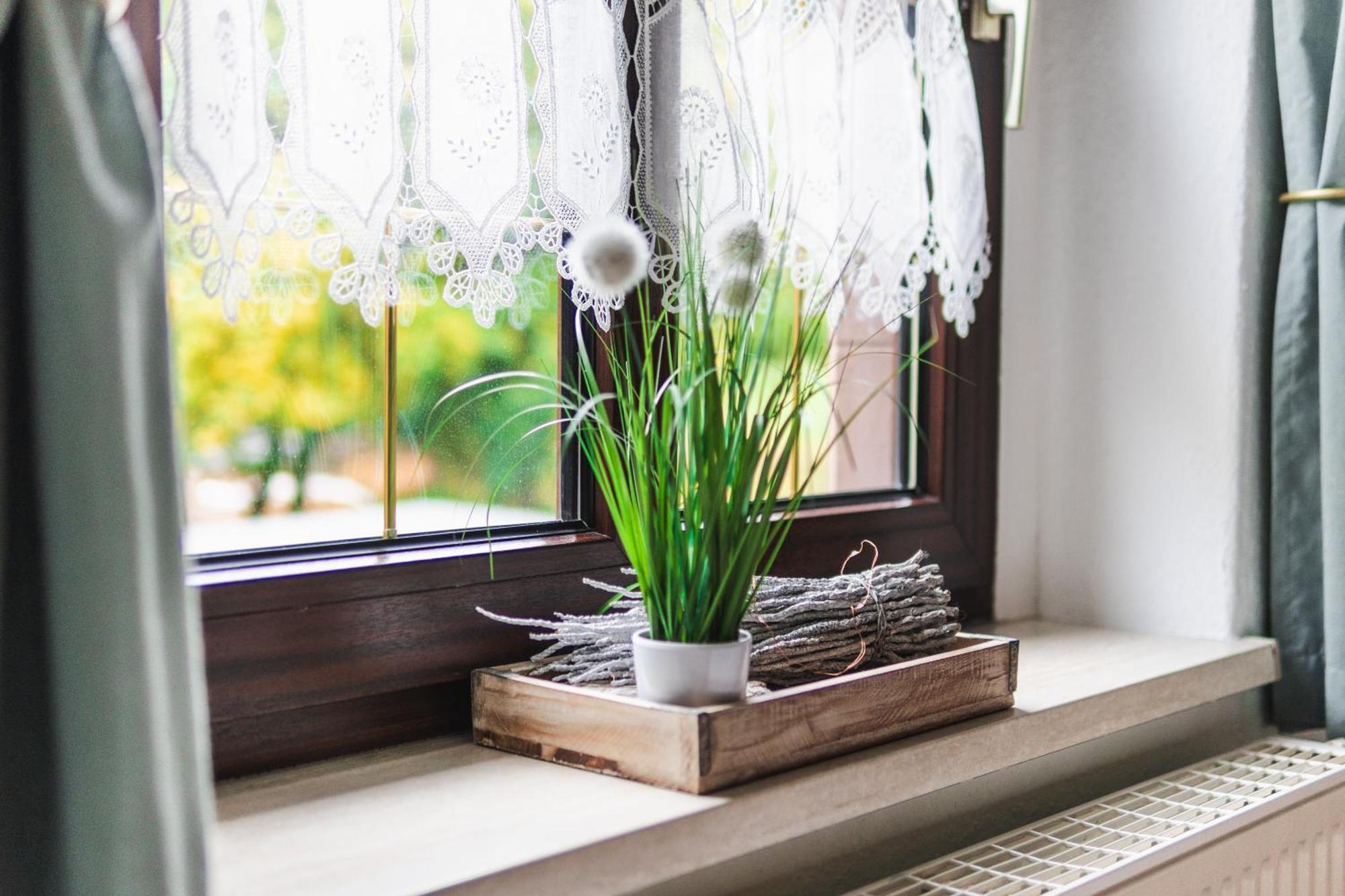 Gasthof Und Pension Hammerschaenke Wildenthal 部屋 写真
